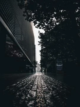 Tower Bridge from a far Foto stock