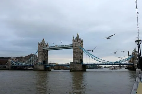 Tower Bridge with Gulls Foto stock