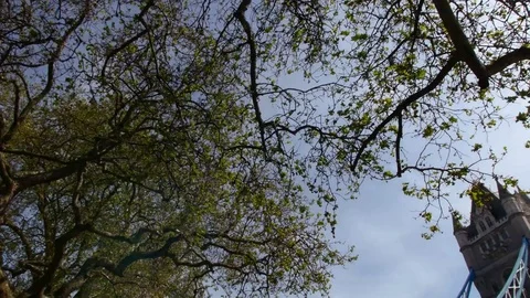 Tower Bridge in LONDON Stock Footage 71120061