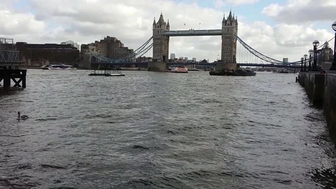 Tower Bridge of London. Stock Footage 73447025