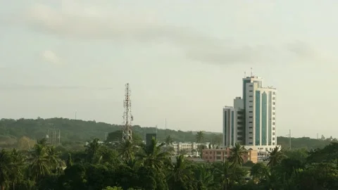 Tower buiding surrounded by trees Stock Footage 162774152