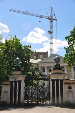 Tower construction crane on the background of old metal gates with columns. Stock Photos