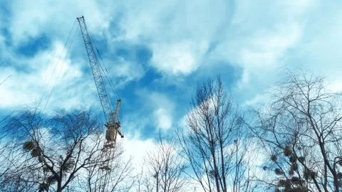 Tower crane by blue cloudy sky and branch of trees Stock Photos