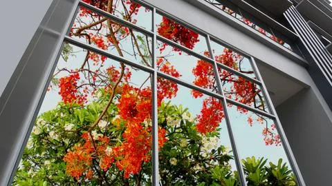 The tower design using big window laminated glass exterior with reflecting .. Fotos de archivo