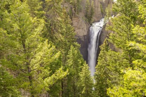 Tower fall Blurred waterfalls in the middle of green trees and mountains Фото