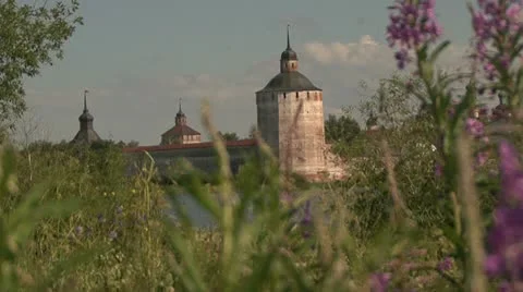 Tower  flowers Stock Footage 12048971
