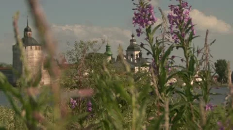 Tower  flowers Stock Footage 12049086