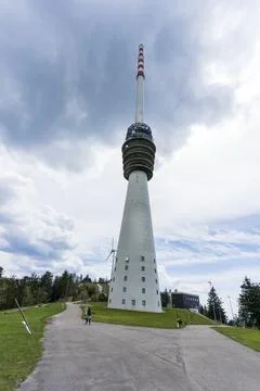 The tower at Forest Black in Germany Stock Photos