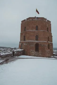 Tower of Gedeminas Stock Photos