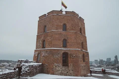 Tower of Gedeminas Stock Photos