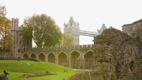 Tower of London with Tower Bridge in the background Stock Footage 82802684