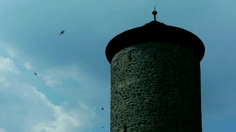 Tower with Lots of Birds Stock Footage 785500