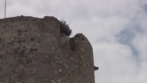 Tower Mora old stone cloudy overcast sky wind medieval historical top plant Stock Footage 328831545