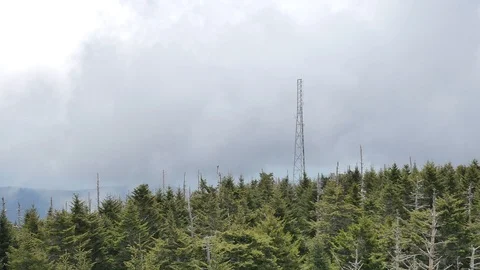 Tower on a mountain in the clouds in Clingman's Dome, TN Stock Footage 90877781