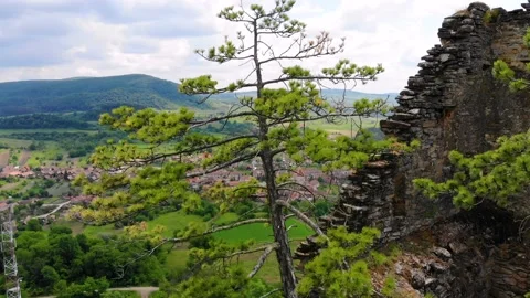 Tower of an old medieval abandoned citadel in Saschiz, Romania, Transylvania. Stock Footage 150664813