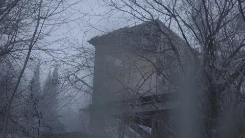 Tower in the park in the fog Stock Footage 265061369
