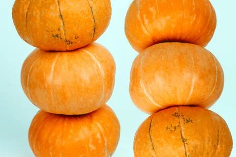 Tower of pumpkins isolated on a blue background Stock Photos