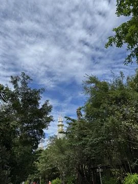 Tower Rising Above Trees with Dramatic Sky Stock Photos