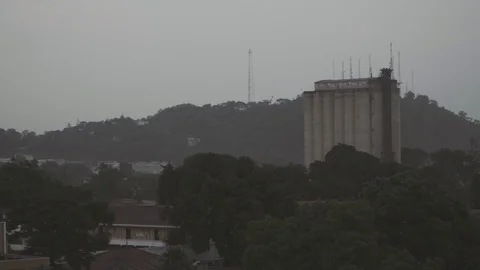 Tower Rising Out of Thick Green Tress 스톡 동영상 90322091