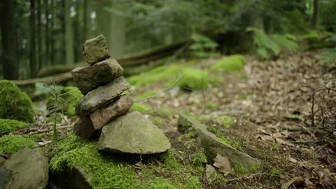 Tower of Rocks in a Forest Stock Footage 171242748