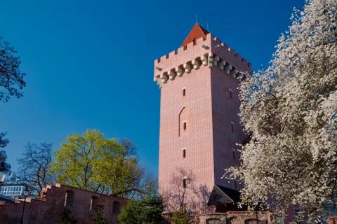 The tower of the royal castle Stock Photos