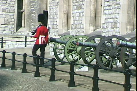 Tower Sentry Turns Stock Footage