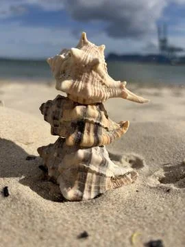 Tower of Silence Stock Photos