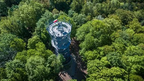 Tower Standing Tall in Forest Stock Photos