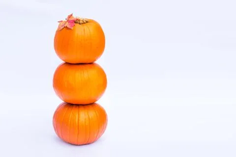Tower of Three stacked mini pumpkins with fall maple leaf on the top on the w Stock Photos