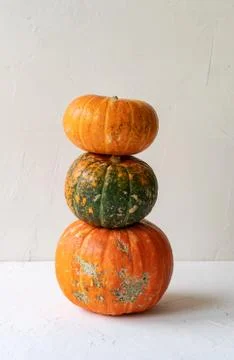 Tower of three whole pumpkins Stock Photos