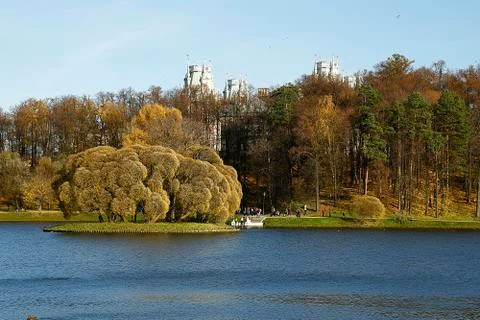 Tower in woods. Stock Photos