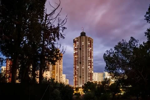Towering Benidorm Skyscraper at Twilight Through Trees Stock Photos