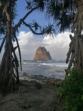 The towering cliff of Papuma beach with dramatic blue sky framed by pandan tree Stock Photos