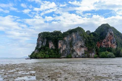 Towering cliffs covered in lush greenery, surrounded by a muddy beach after low Fotos Stock