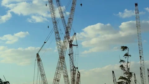 Towering Construction Cranes in Industrial Yard Stock-Footage 323008484