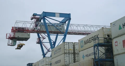 Towering container crane rises above branded boxes Stock Footage 319832775