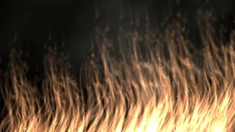 The towering fire Stock Footage 208896547