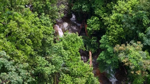 Towering green canopy surrounds a misty, rushing waterfall Stock Footage 339836325