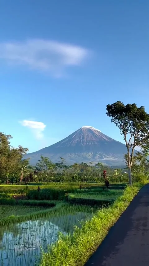 Towering High Vídeo Stock 276064771