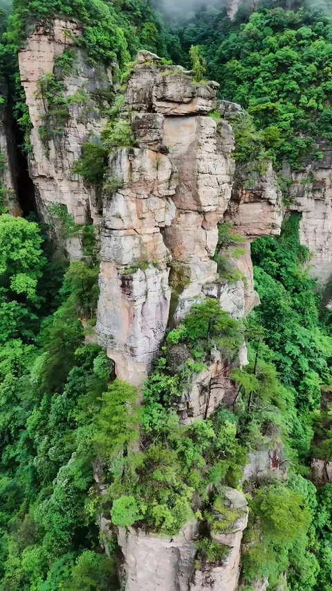 Towering Karst Mountains with Lush Greenery and Mystical Fog Zhangjiajie Hunan Stock Footage 345727998