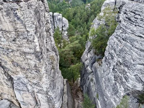 Towering limestone canyon with dense pine forest, weathered cliff walls, de.. Stockfoto's