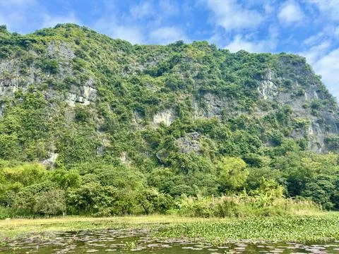 Towering limestone cliffs covered with moss and lush greenery beside Stock Photos