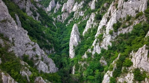 Towering limestone rock formations rise from a verdant forest in a deep canyon Stock Footage 345716568