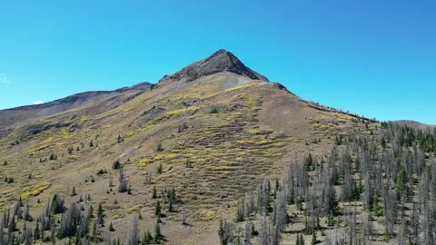 Towering Mountain Covered in Dense Forest Stock Footage 274511946