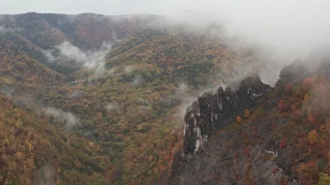 Towering Mountain Covered in Dense Trees Stock-Footage 266930452