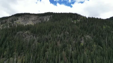 Towering Mountain Covered in Dense Trees Stock Footage 274510837