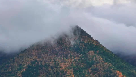 Towering Mountain Enveloped in Clouds and Trees 動画素材 266925180