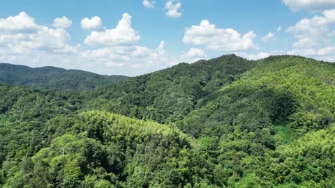 Towering Mountains And Dense Forest Landscapes Scenic Aerial Footage Stock Footage 320340052