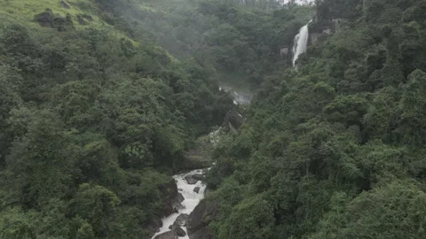 Towering Ramboda Waterfall, Drone Footage of Sri Lanka, D-Log M Flat Color Stock Footage 318279922