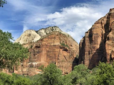 Towering Red Rock Cliffs And Green Trees In Desert Stock Photos